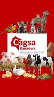 Cagsa โปสเตอร์