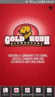 Gold Rush постер