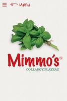 Mimmo's Pizza Express plakat