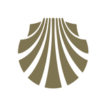 Catedral traductor liturgia