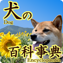 Dog encyclopedia!-APK