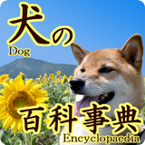 Dog encyclopedia! icon