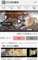 『犬の百科事典！』世界の犬(イヌ)の画像、動画、説明などを集約！ スクリーンショット 1