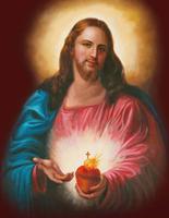 National Shrine Sacred Heart screenshot 2