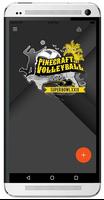 Pinecraft Volleyball Affiche