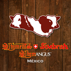 Simmental Simbrah México icon