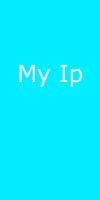 My Ip Address 截圖 1