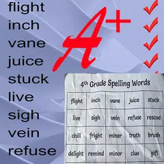 Spelling Bee Games & Tests XAPK 下載