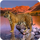 Tiger Wallpapers icon