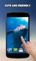 Dolphins - Play with me تصوير الشاشة 1
