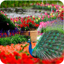 Garden Wallpaper HD APK