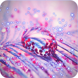 Glitter Wallpapers icon