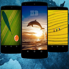 Backgrounds HD Wallpapers icon