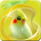 Parrot Wallpapers 图标