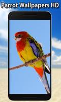 Parrot Wallpapers स्क्रीनशॉट 1