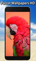 Parrot Wallpapers स्क्रीनशॉट 3