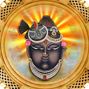 Shreenathji Wallpaper HD APK