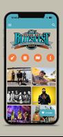 Bluesfest poster