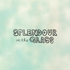 Splendour أيقونة