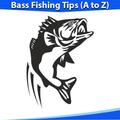 Bass Fishing Tips 101