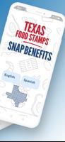 Texas Food Stamps. EBT Card screenshot 1