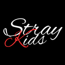 Chat with Stray Kids-APK