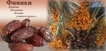 Финики - еда и лекарство