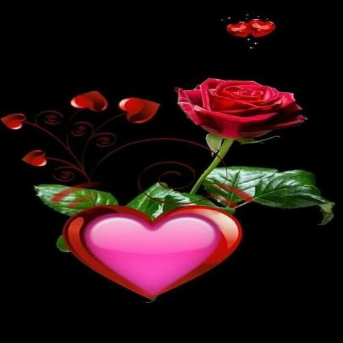 ग ल ब छव य और Gif द ल For Android Apk Download