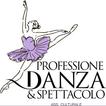 Professione Danza e Spettacolo icon