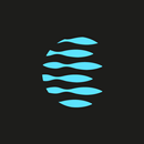 AppNews APK