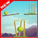 Cricket Ball : New Cricket Gam APK