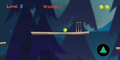 Cricket Ball screenshot 2