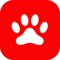Veterinary Care at Belmont