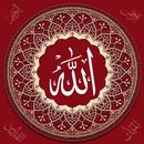 Allah Pak 99 Names APK