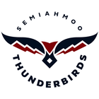 Thunderbird Times ikon
