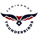 Thunderbird Times APK