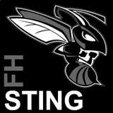 FH Sting 图标