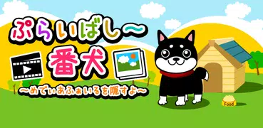 保密狗～隐藏媒体文件～