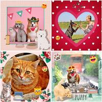 Marcos de mascotas y Collage bài đăng