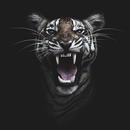 Best HD Tiger Wallpapers 2021 افضل خلفيات النمور APK