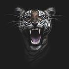 Best HD Tiger Wallpapers 2021 افضل خلفيات النمور icône