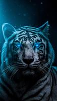 Best HD Tiger Wallpapers 2021 افضل خلفيات النمور capture d'écran 1