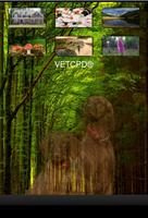 Pet Poison App VETCPD Affiche