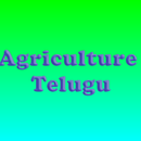 Agriculture Telugu APK