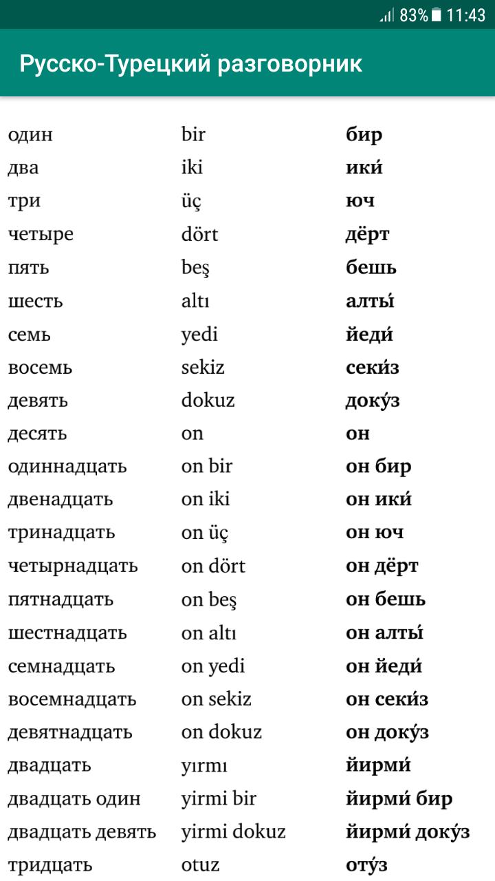 Написать слово на турецком. Русская турецкий Разговлрник. Турецкий разговорник. Турецко-русский разговорник для туриста. Разговорник турецкого языка для туриста.