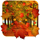 Fall Live Wallpaper APK