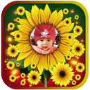 Sunflower photo frames APK