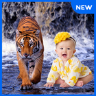 Tiger Photo Frames simgesi