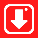 Video Downloader - Story Saver APK