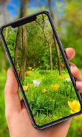 Poster Nature Live Wallpaper
